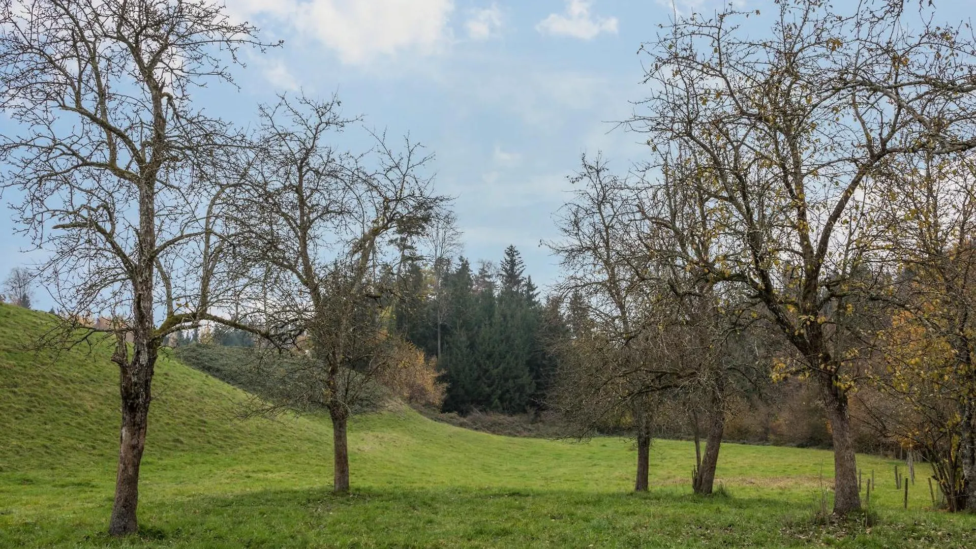 Lägenhet Ferienwohnung Achraintal 1 Lindau  Tyskland